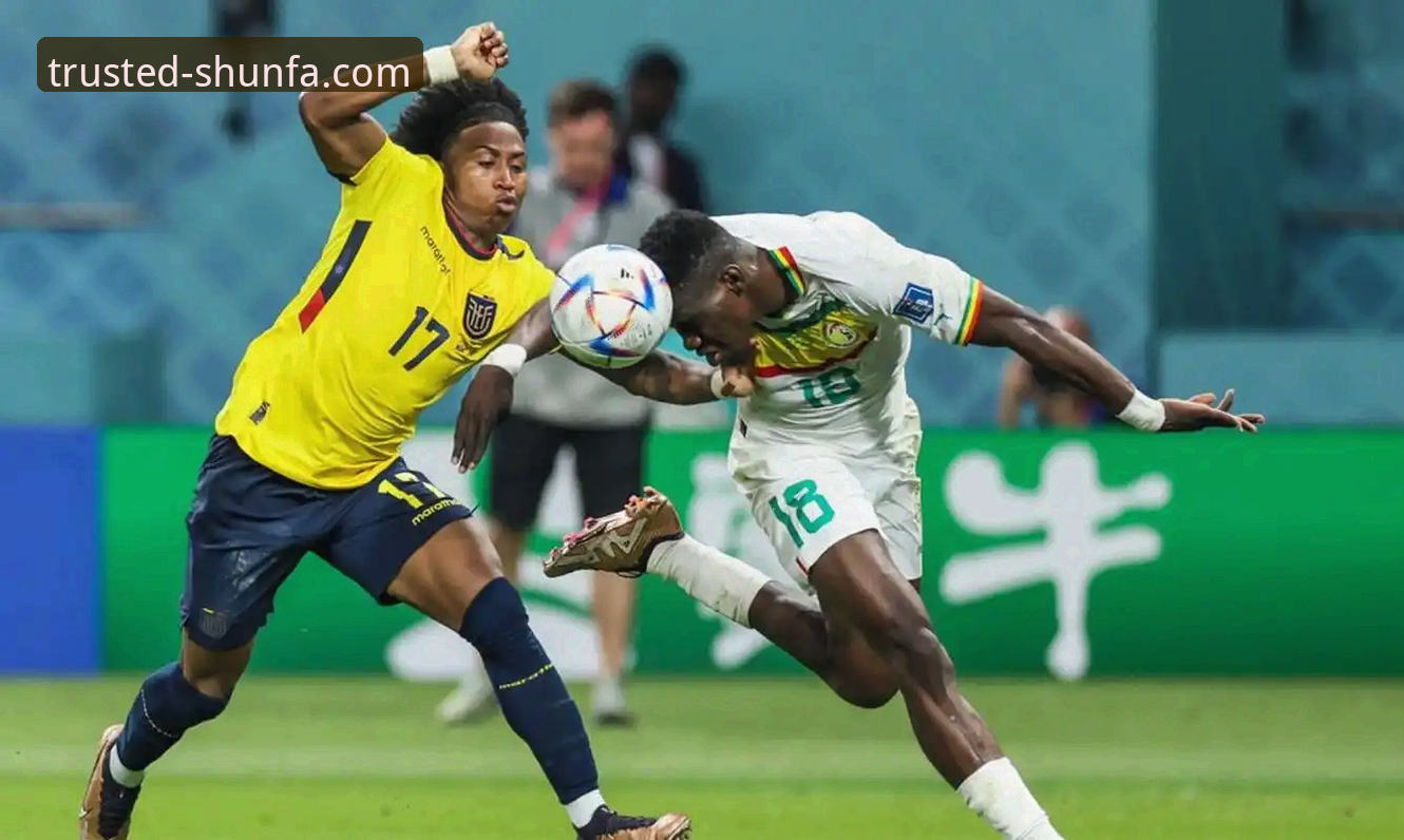 3个维度解析：民主刚果52年圆梦背后的坚韧与顺发娱乐平台的沉浸式观赛体验